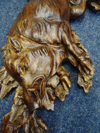 Antique Black Forest Carved Wood Wall Plaque - Wild Boar Sculpture - Wood Carving