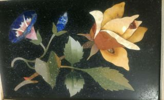 Pietra Dura Plaque - - Yellow Rose & Morning Glory - - Lovely - - No Issues - - BUY IT NOW 2