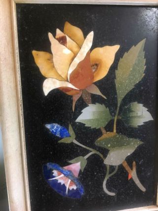 Pietra Dura Plaque - - Yellow Rose & Morning Glory - - Lovely - - No Issues - - BUY IT NOW 4