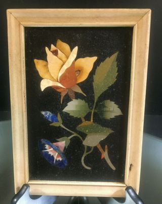 Pietra Dura Plaque - - Yellow Rose & Morning Glory - - Lovely - - No Issues - - BUY IT NOW 9