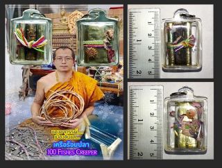 Thai Amulet Holy 100 Fishes Creeper Wealth & Charming Mystical By Phra Arjarn O