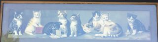 Old Antique victorian framed yard long yard of kittens cats picture art print 4