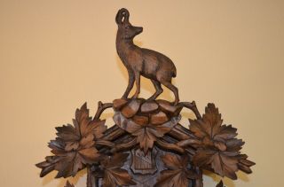 ANTIQUE GERMAN BLACK FOREST CUCKOO CLOCK with a IBEX GOAT on top 2