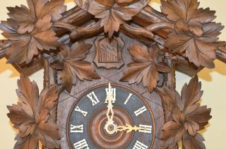 ANTIQUE GERMAN BLACK FOREST CUCKOO CLOCK with a IBEX GOAT on top 4