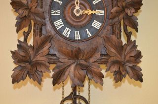 ANTIQUE GERMAN BLACK FOREST CUCKOO CLOCK with a IBEX GOAT on top 6