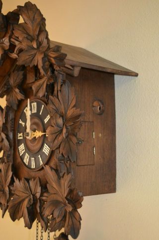ANTIQUE GERMAN BLACK FOREST CUCKOO CLOCK with a IBEX GOAT on top 9