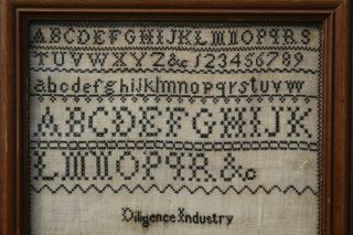 ANTIQUE NEEDLEWORK SAMPLER by MARY ANN HOLMES DATED 1855 3