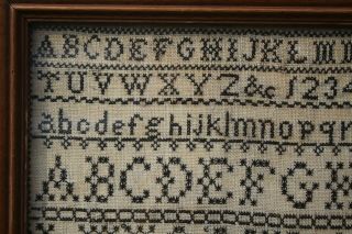 ANTIQUE NEEDLEWORK SAMPLER by MARY ANN HOLMES DATED 1855 5