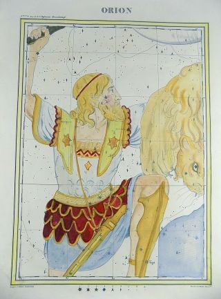 Rarissimum Large Celestial Map - Orion - From Atlas By Hoffmann 37 Cm