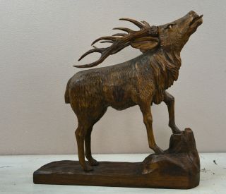 Antique Black Forrest Wooden Carved Rutting Deer Stag Very Fine & Work