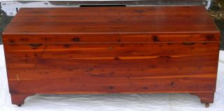 Antique Federal All Cedar Large Blanket Chest Trunk 52 " L X 21 " H X 21 " D Solid