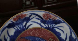 Old Two Rare Blue and White Chinese Porcelain Fish Dish Xuande MK 11