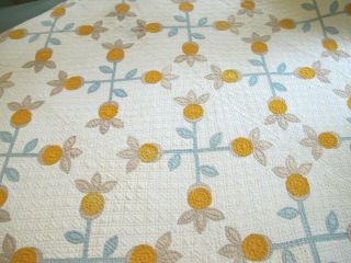 Vintage Densely Quilted Antique All Cotton Pineapple Applique Quilt,  Good