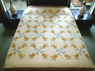 Vintage DENSELY QUILTED Antique All Cotton PINEAPPLE Applique Quilt,  Good 2