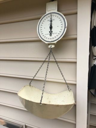 Vintage American Family Co.  Hanging Farm Produce Scale 60 Pounds White