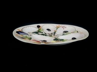 Antique Union Porcelain Clam Shell Oyster Plate UPW Patent 1881 7