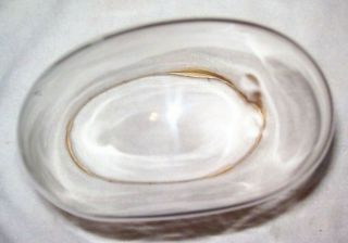 Victorian Antique Oval Hand Blown Glass Dome Globe Mantle 11