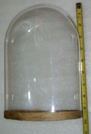Victorian Antique Oval Hand Blown Glass Dome Globe Mantle 3