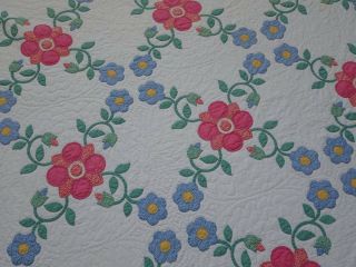 Exceptional HANDWORK Gorgeous VINTAGE Applique Floral QUILT King Size Beauty 8