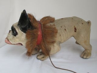 Antique Paper Mache French Bulldog Growler Nodder Pull Toy 5