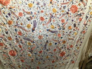 ANTIQUE CHINESE CANTON EMBROIDERED SILK SPANISH PIANO SHAWL EMBROIDERY BIRDS 3
