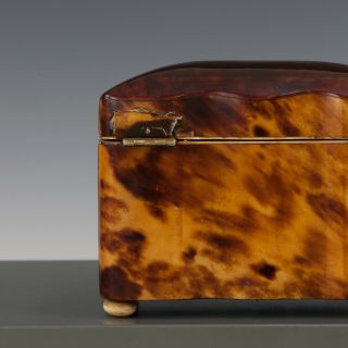 Antique mid 19th Century ‘faux’ Tortoiseshell Tea Caddy Casket /Box 11