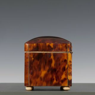 Antique mid 19th Century ‘faux’ Tortoiseshell Tea Caddy Casket /Box 12