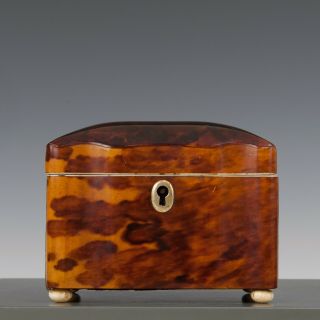 Antique mid 19th Century ‘faux’ Tortoiseshell Tea Caddy Casket /Box 2