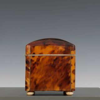 Antique mid 19th Century ‘faux’ Tortoiseshell Tea Caddy Casket /Box 4