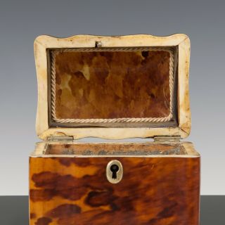Antique mid 19th Century ‘faux’ Tortoiseshell Tea Caddy Casket /Box 6