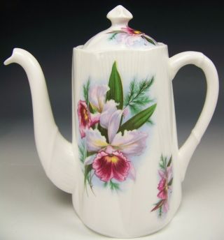 Lovely Shelley Dainty Shape Orchids Small Tea Coffee Pot