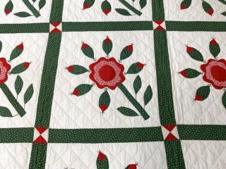 Red Green c 1880 - 90s Rose Tree ANTIQUE Applique Quilt 10