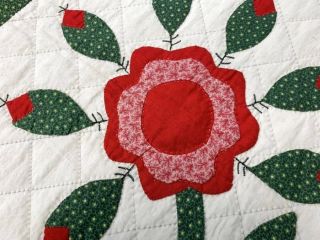 Red Green c 1880 - 90s Rose Tree ANTIQUE Applique Quilt 6