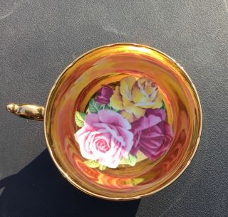 VERY RARE Paragon black tea cup and saucer triple cabbage Rose on gold 1960 5