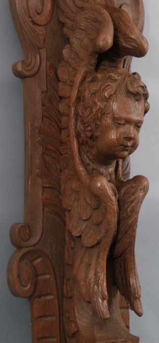 Antique Carved Oak Architectural Fragment,  Winged Angel Cherub Wall Sculpture 2