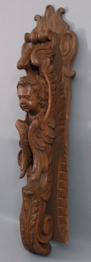 Antique Carved Oak Architectural Fragment,  Winged Angel Cherub Wall Sculpture 3