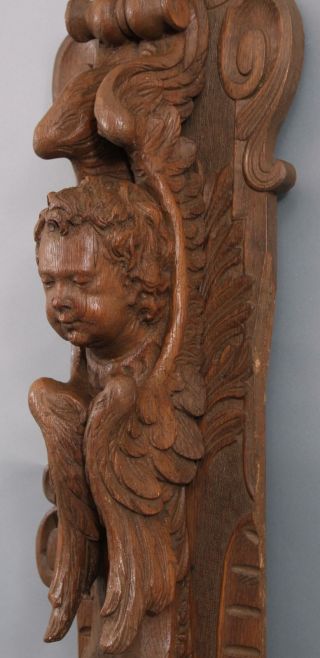 Antique Carved Oak Architectural Fragment,  Winged Angel Cherub Wall Sculpture 4