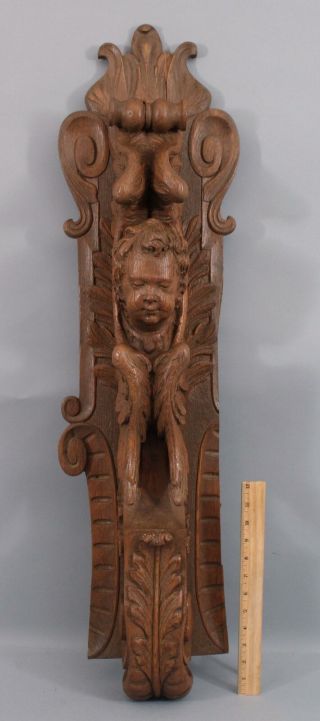 Antique Carved Oak Architectural Fragment,  Winged Angel Cherub Wall Sculpture 5