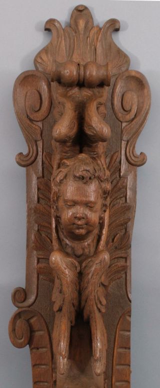 Antique Carved Oak Architectural Fragment,  Winged Angel Cherub Wall Sculpture 6