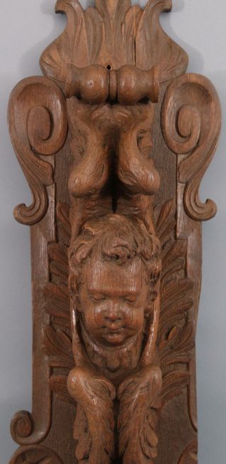 Antique Carved Oak Architectural Fragment,  Winged Angel Cherub Wall Sculpture 7