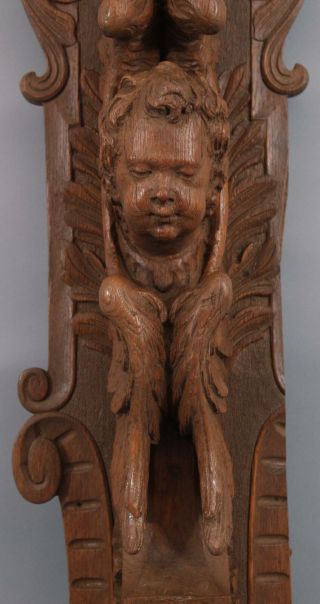 Antique Carved Oak Architectural Fragment,  Winged Angel Cherub Wall Sculpture 8