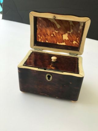 Antique Mid 19th Century ‘faux’ Tortoiseshell Tea Caddy Casket /box