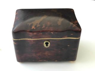 Antique mid 19th Century ‘faux’ Tortoiseshell Tea Caddy Casket /Box 2