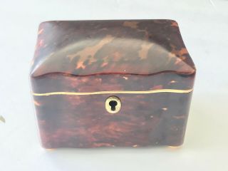 Antique mid 19th Century ‘faux’ Tortoiseshell Tea Caddy Casket /Box 3