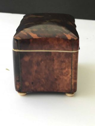 Antique mid 19th Century ‘faux’ Tortoiseshell Tea Caddy Casket /Box 7