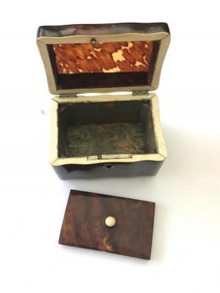 Antique mid 19th Century ‘faux’ Tortoiseshell Tea Caddy Casket /Box 9