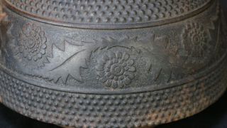 Japan Nambu Tetsubin Fuji iron kettle sand cast 1900s Japanese metal craft 5
