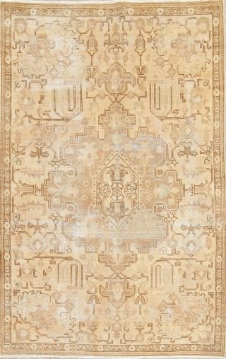 Wool Area Rug Persian Muted Hand - Knotted 5 X 8 Oriental Floral Medallion Carpet