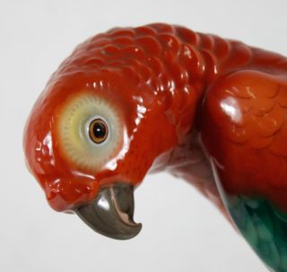 1920 ' s Art Deco Figurine Sculpture Bird Parrot Macaw Zehscherzer Beh Scherzer 3