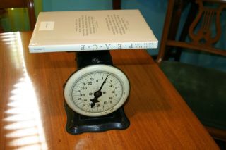 VINTAGE MONTGOMERY WARDS KITCHEN CANNING FOOD SCALE 25 LBS 9